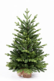 PINETTO VERDE 90CM CON BASE IN JUTA