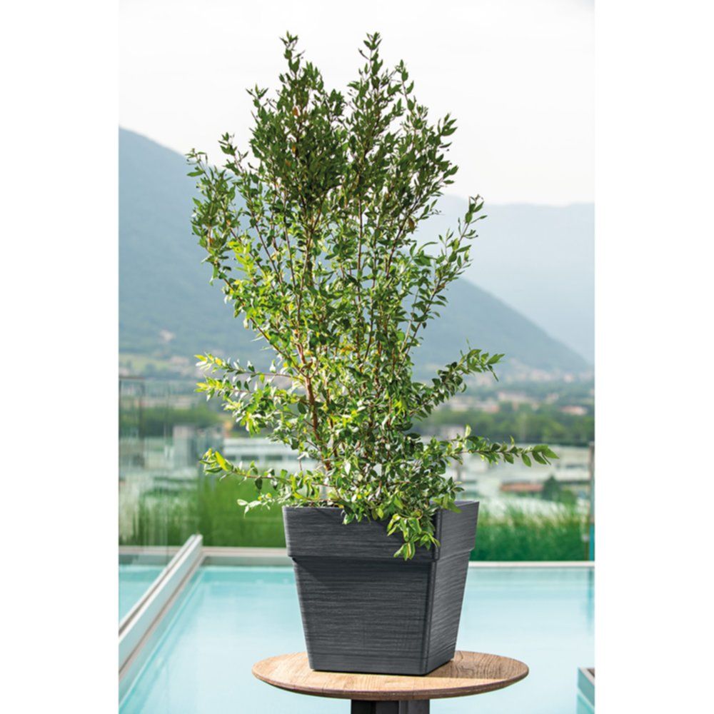 VASO QUADRO SAVE R 35X35CM ANTRACITE