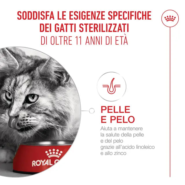 ROYAL CANIN AGEING +12 EN SAUCE POUR CHATS ÂGÉS 12 x 85 g