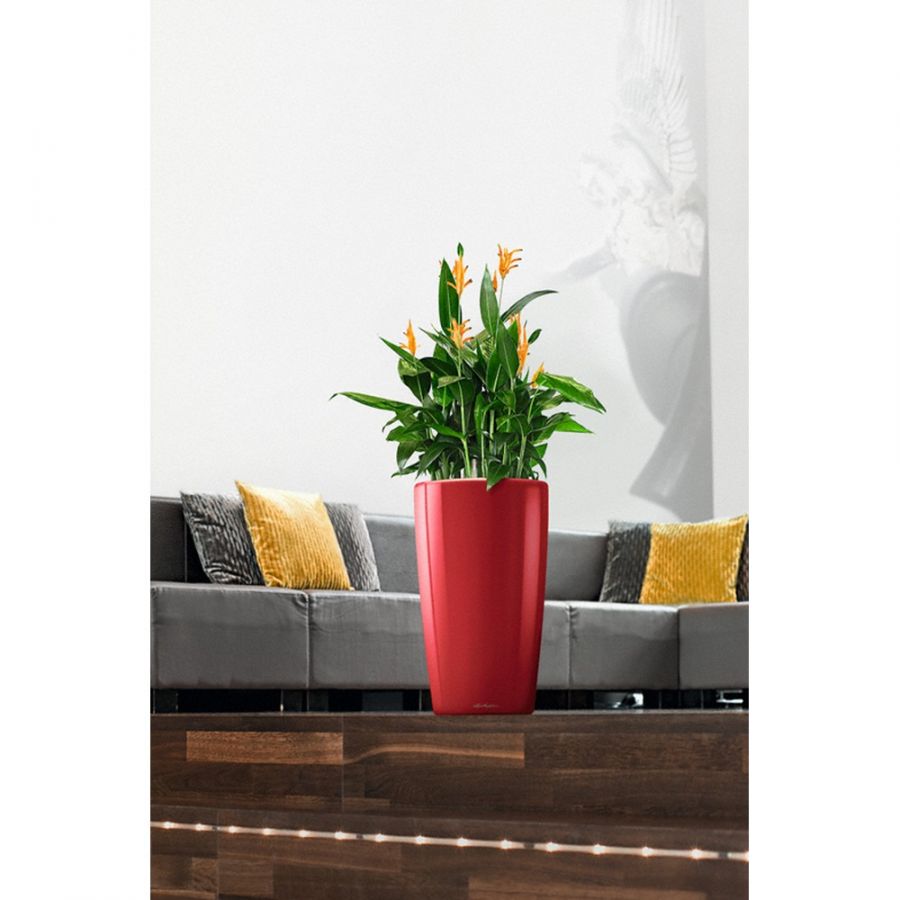VASO RONDO PREMIUM D40X75 CM ROSSO SCARLATTO LUCIDO
