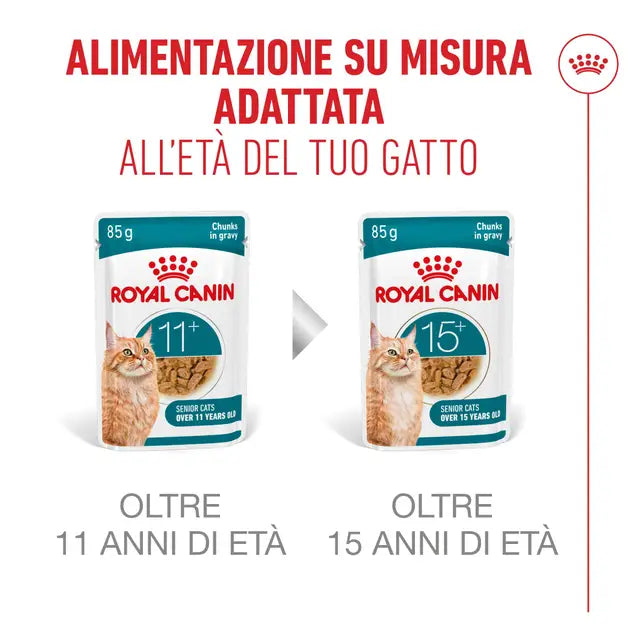 ROYAL CANIN AGEING +12 EN SAUCE POUR CHATS ÂGÉS 12 x 85 g
