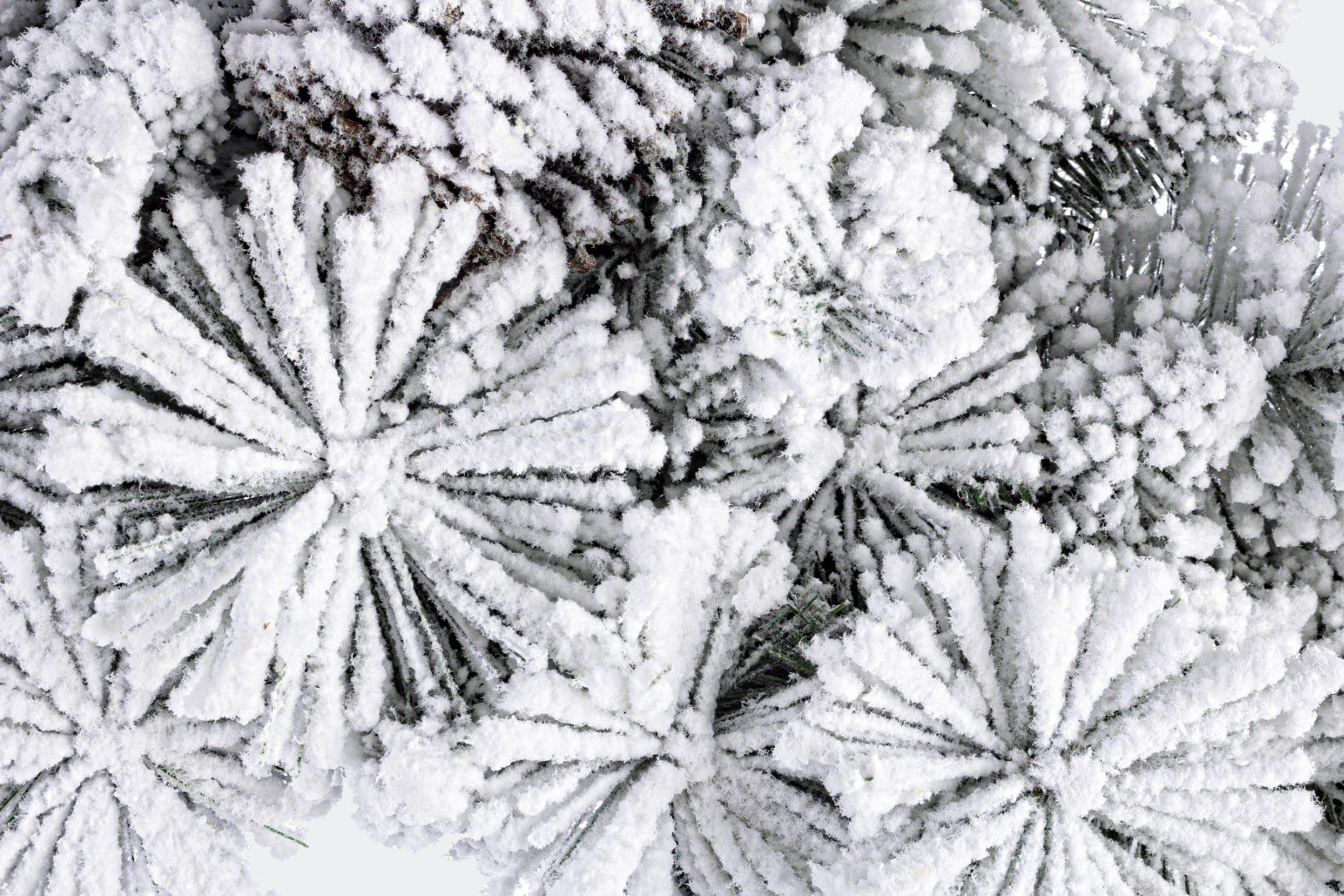 CORONA ARVES INNEVATA CON PIGNE ROSSE 60CM