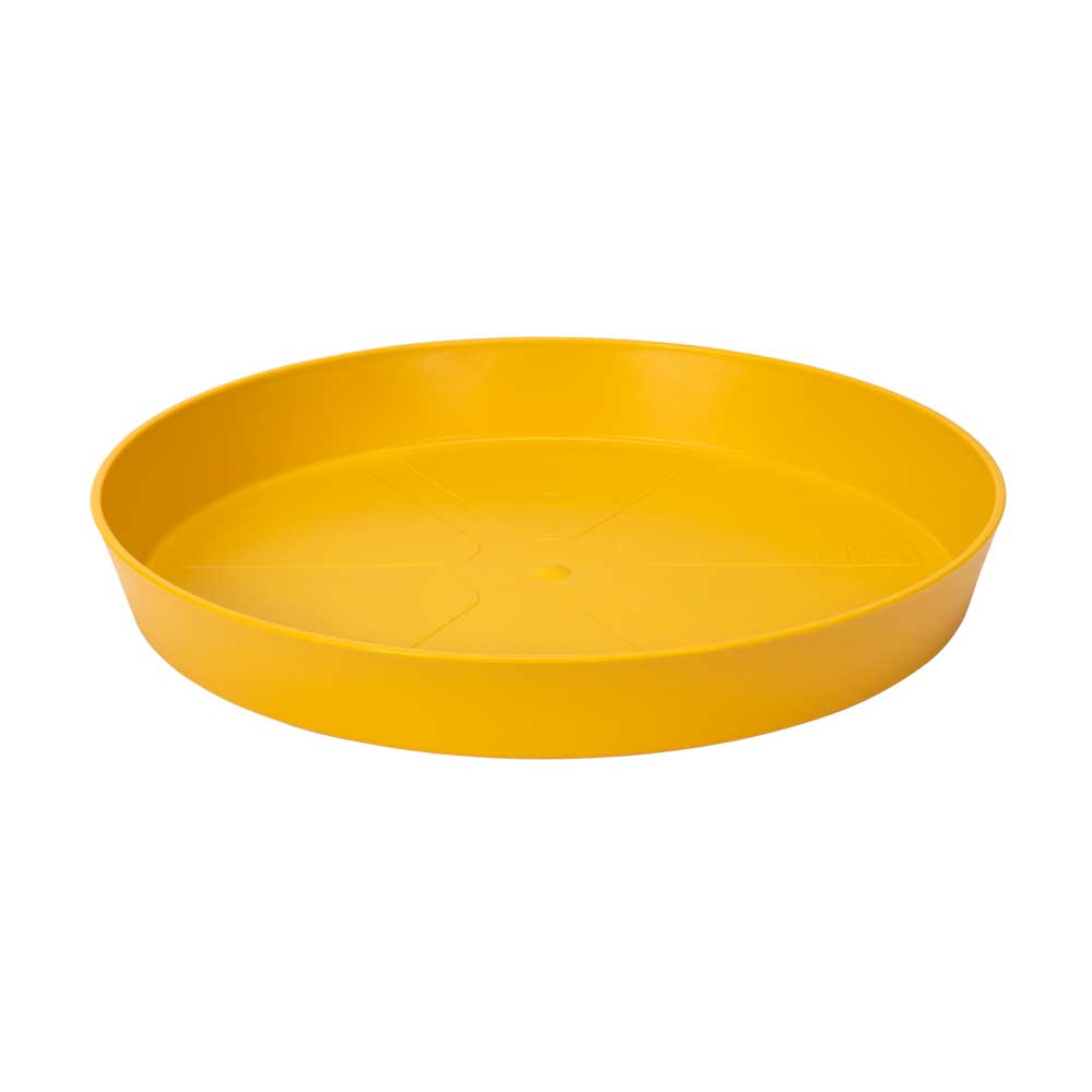 LOFT URBAN UNTERTASSE RUND 28CM FARBE NACH WAHL