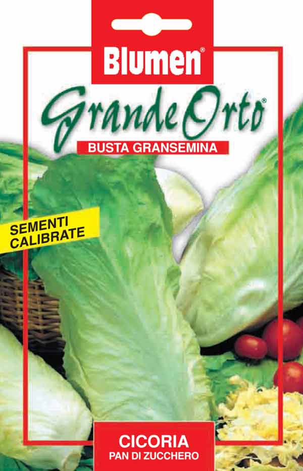 SEMI CICORIA PAN DI ZUCCHERO BLUMEN
