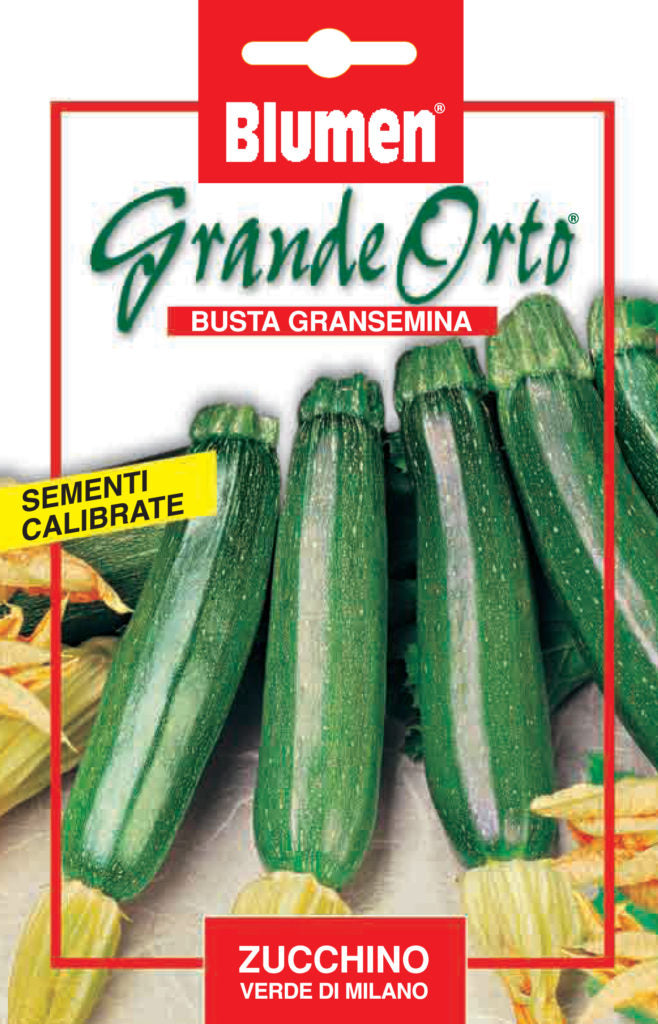 SEMI ZUCCHINO VERDE DI MILANO