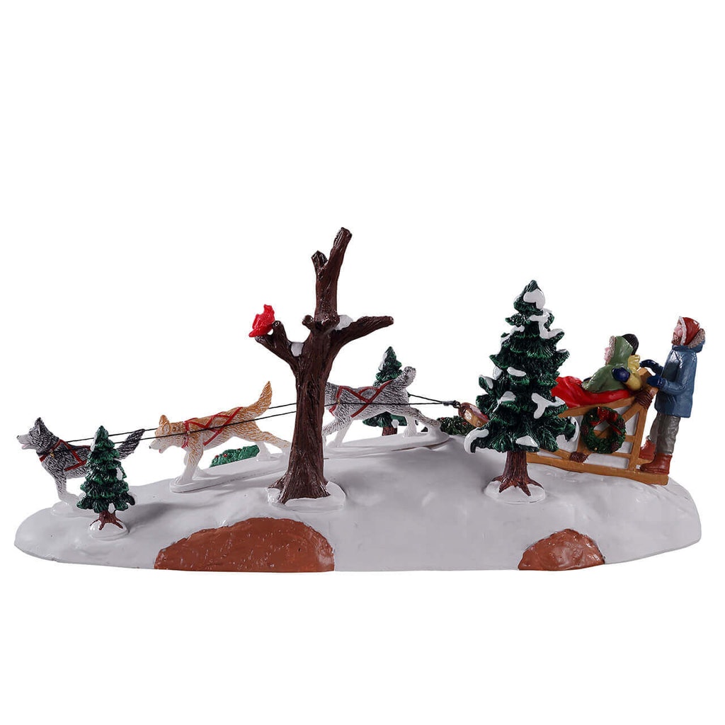 POMERIGGIO CON I CANI DA SLITTA - DOG SLEDDING AFTERNOON