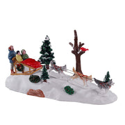 POMERIGGIO CON I CANI DA SLITTA - DOG SLEDDING AFTERNOON