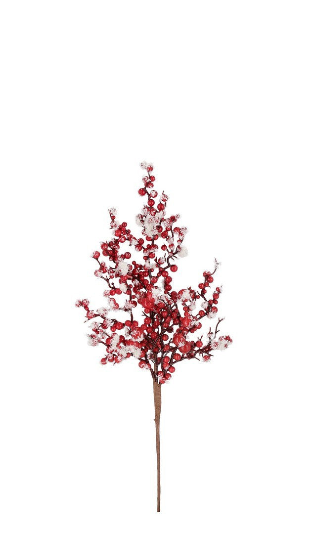 Pick Bessy Bacche Rosso Ghiacciato 23x45cm bizzotto
