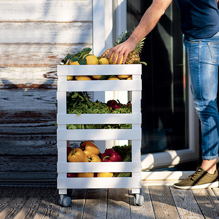 CARRELLO ORGANIZZATORE BASSO TIDY E STORE CIRCLE RICICLATO BIANCO