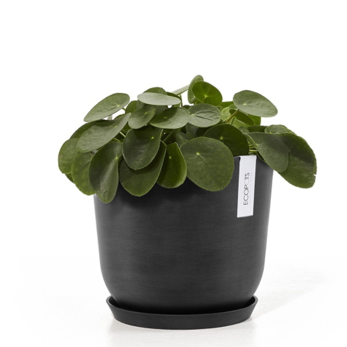 Vaso Fioriera Oslo D25 H21,8 Cm Dark Grey Ecopots