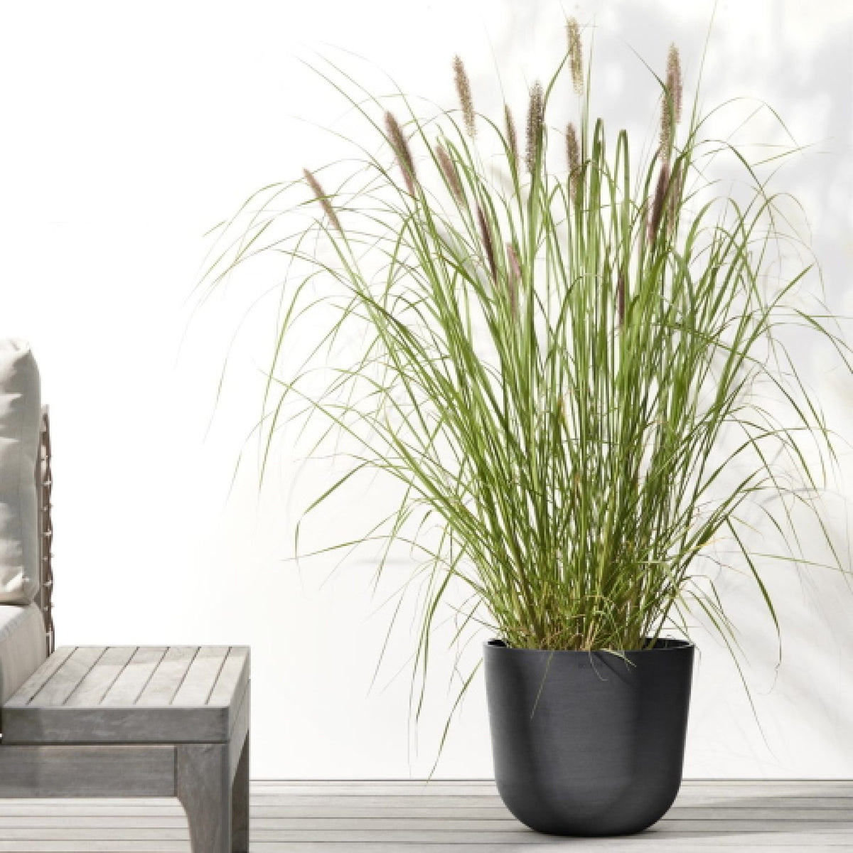 Vaso Fioriera Oslo D25 H21,8 Cm Dark Grey Ecopots