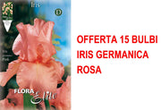 OFFERTA 15 BULBI IRIS GERMANICA ROSA