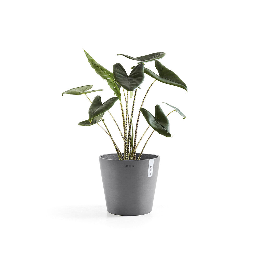 VASO AMSTERDAM 30x26,5CM GRIGIO