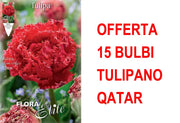 OFFERTA 15 BULBI TULIPANO MULTIFIORI FRINGED DOUBLE QATAR