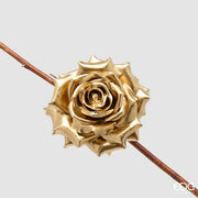 Rosa Glossy Clip D16 Oro EDG