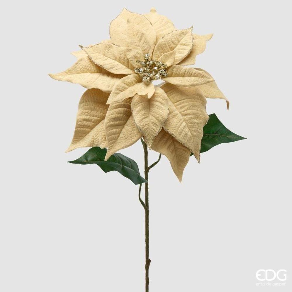 Stella di Natale Velvet Ramo H71cm D30 Avorio Oro EDG