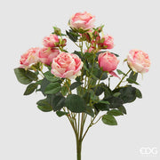 MAZZO ROSE H.51 ROSA/CREMA