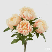 MAZZO DI PEONIA H.48 ROSA/CREMA