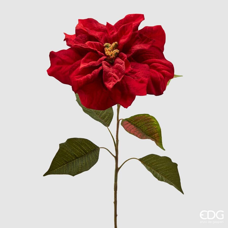 RAMO CON STELLA DI NATALE ROSSA H70CM
