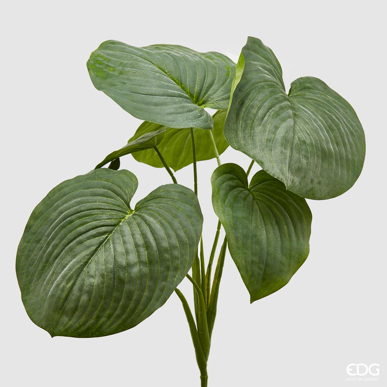 MAZZO DI  HOSTA H.66 VERDE