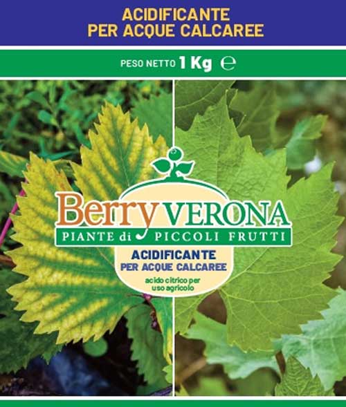ACIDIFICANTE PER ACQUE CALCAREE 1KG
