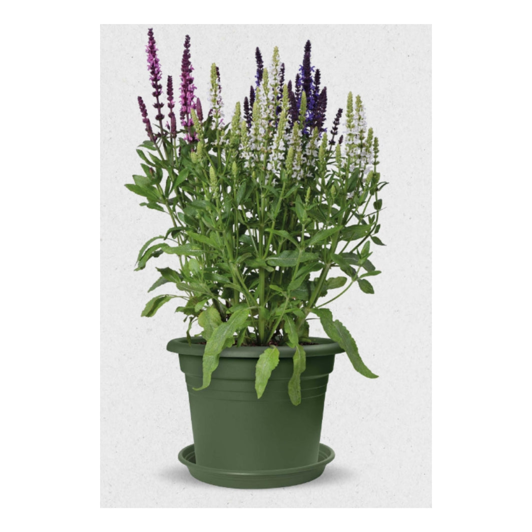 VASO MEDITERRAN CILINDRO 35CM GREEN
