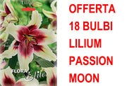 OFFERTA 18 BULBI LILIUM ORIENTAL PASSION MOON