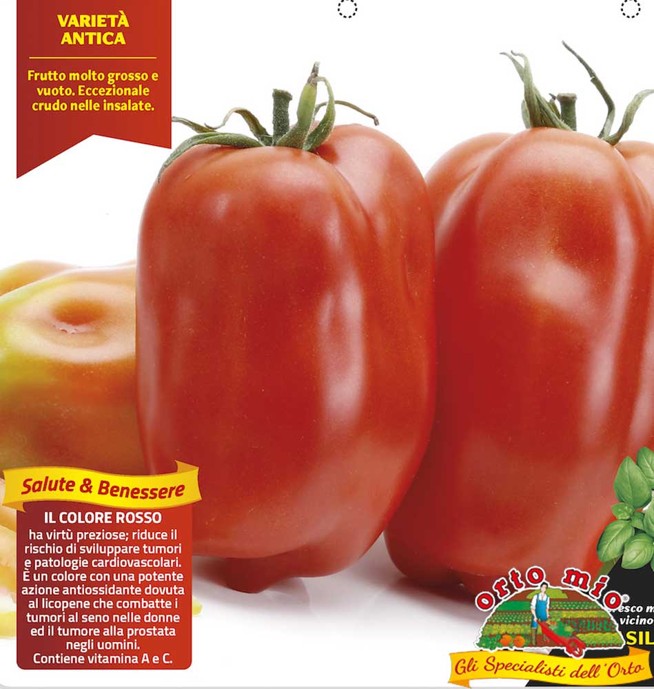 6 PIANTE IN PACK POMODORO SCATOLONE S.MARZANO GROSSO ORTOMIO