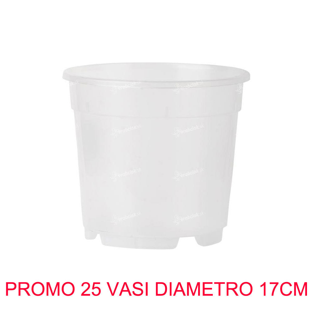 25 VASI PER ORCHIDEE Ø17CM TRASPARENTI