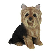 YORKSHIRE TERRIER SEDUTO 21.5CM
