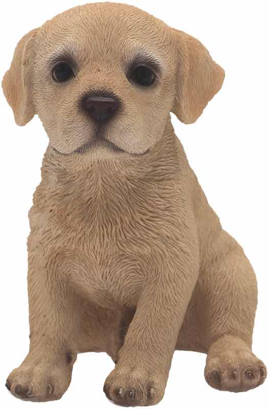 LABRADOR MIGNON 12 CM
