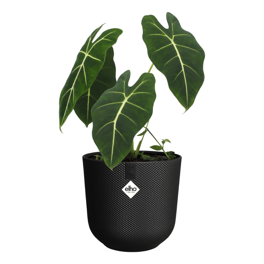 VASO JAZZ ROUND 23CM LIVING BLACK