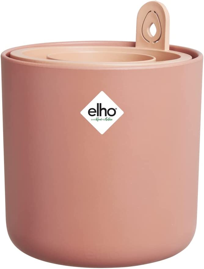 VASO AMAZING AVOCADO POT TERRA