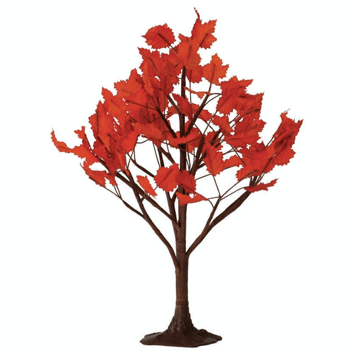 ALBERO DI ACERO GRANDE - MAPLE TREE