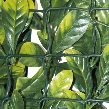SIEPE ARTIFICIALE DIVY 30 PLUS LAURUS 1,5X3 M
