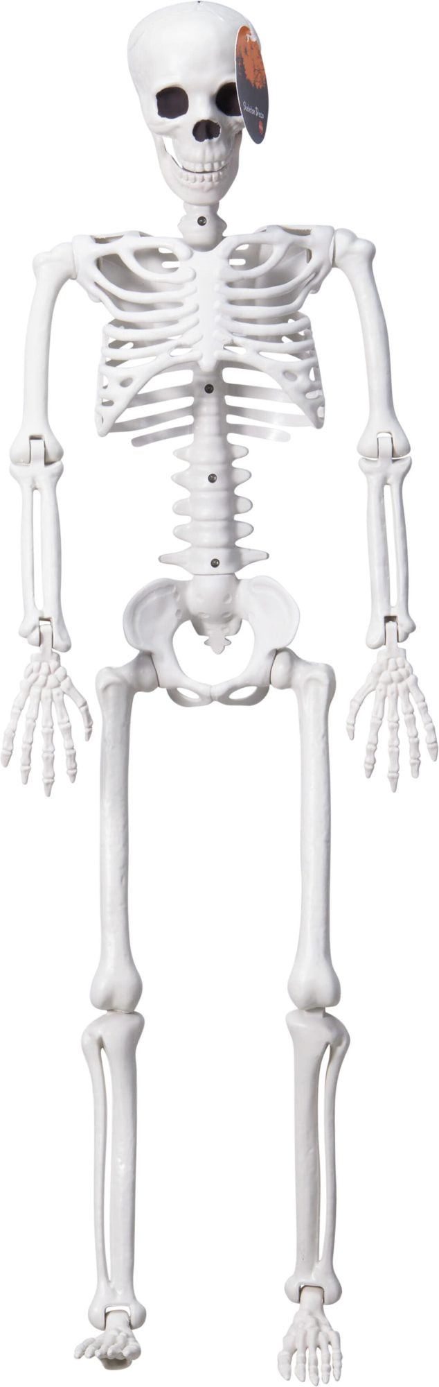 Scheletro Halloween 90 cm PERAGA CHRISTMAS
