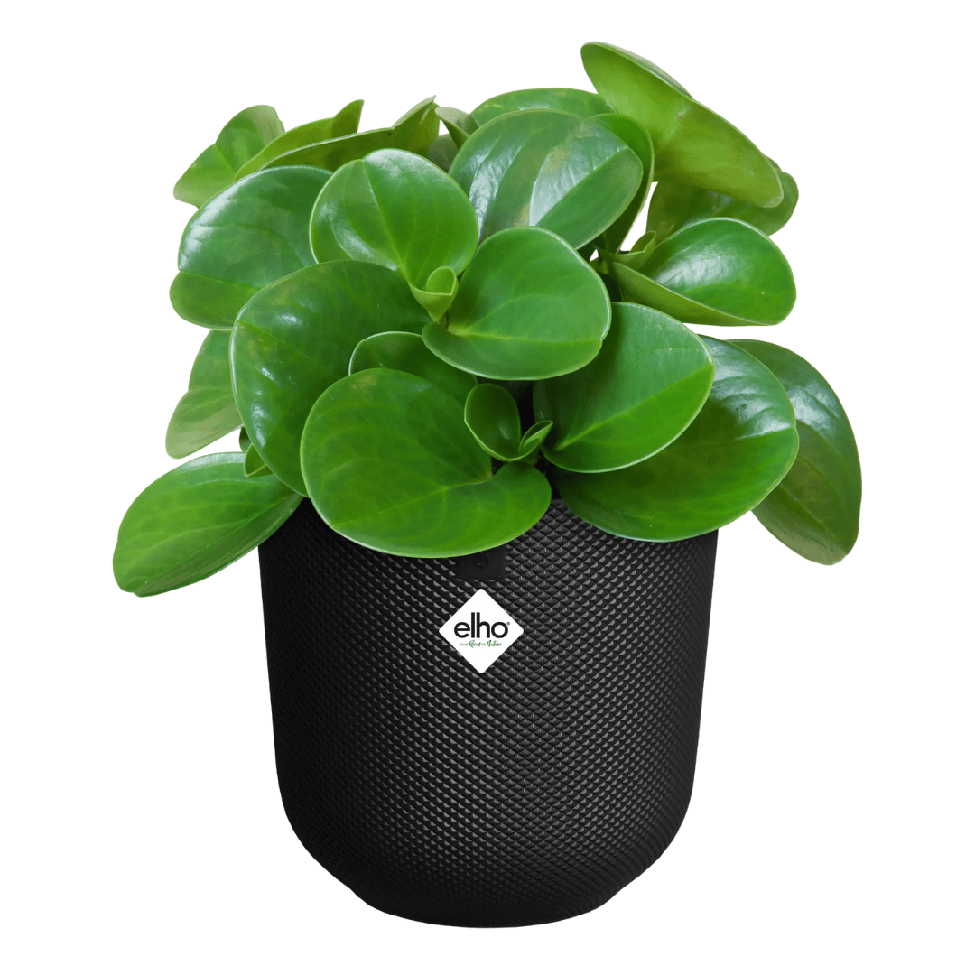 VASO JAZZ ROUND 23CM LIVING BLACK