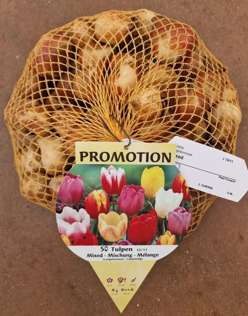 OFFERTA 30 BULBI TULIPANO MULTIFIORI MIX DI COLORI