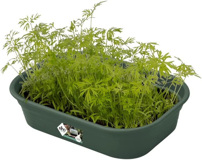 VASO DA COLTURA GREEN BASICS GROW TRAY S LEAF GREEN