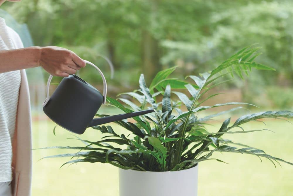 ANNAFFIATOIO B.FOR SOFT WATERING CAN 1,7LTR ANTHRACITE