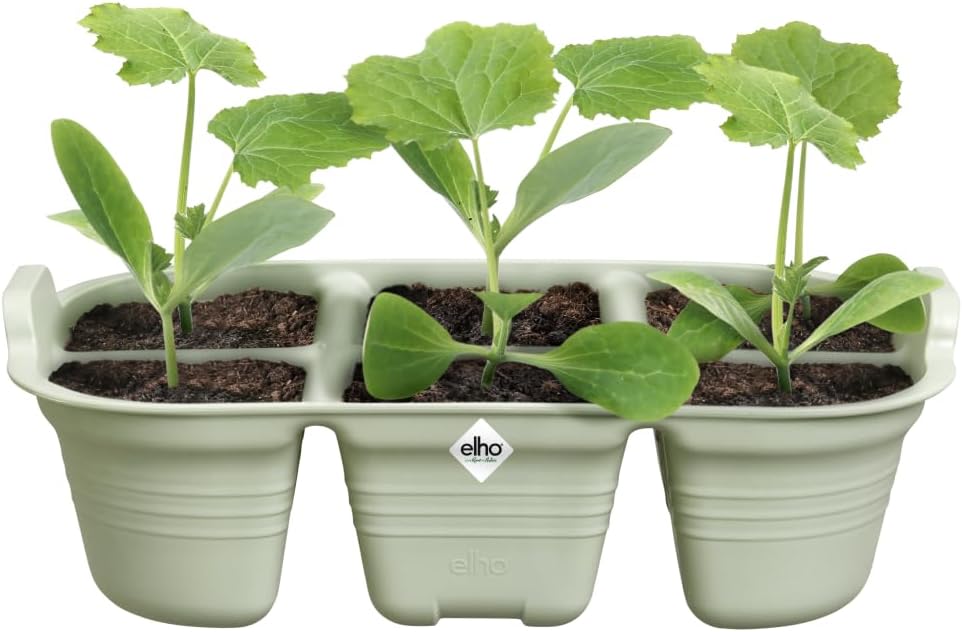 VASSOIO DA COLTIVAZIONE GREEN BASICS SEED TRAY 22CM VERDE PIETRA