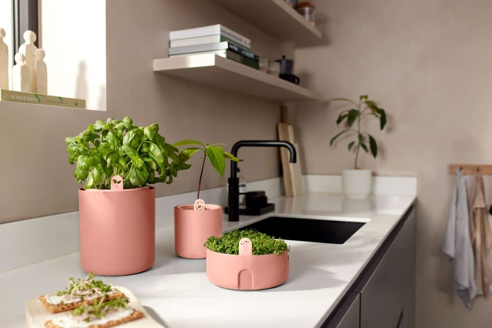 VASO DA COLTURA MAGIC MICROGREENS TERRA