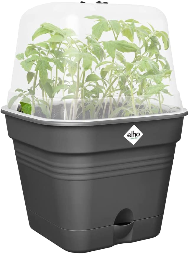 VASO DA COLTURA GREEN BASICS GROWPOT SQUARE ALLIN1 20CM LIVING BLACK