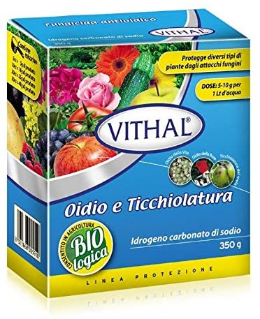 IDROGENO CARBONATO DI SODIO GR 350 VITHAL