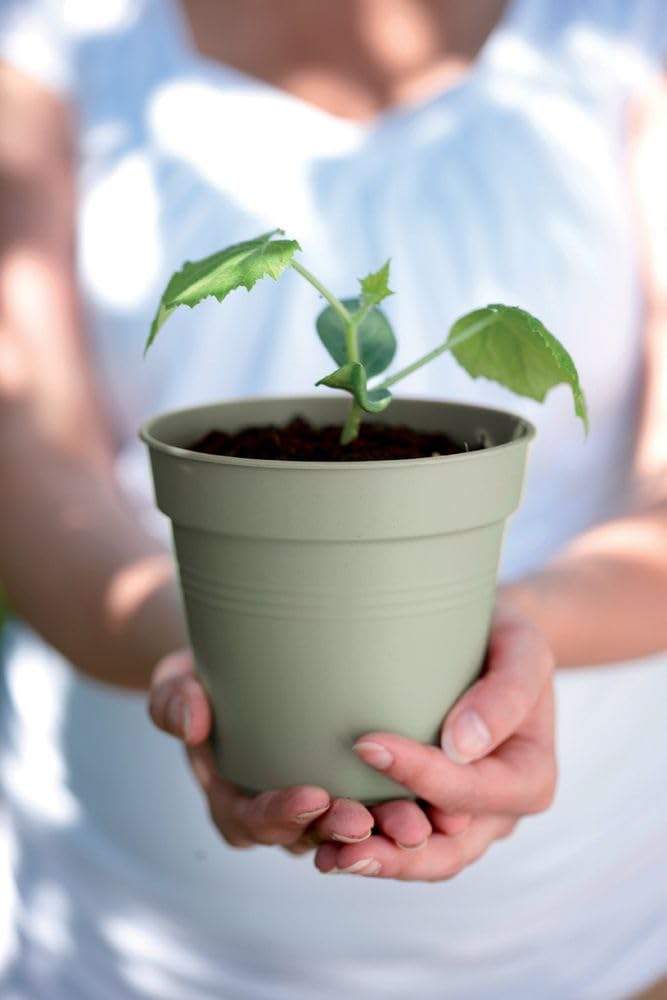 VASO GREEN BASICS GROWPOT 11CM VERDE PIETRA