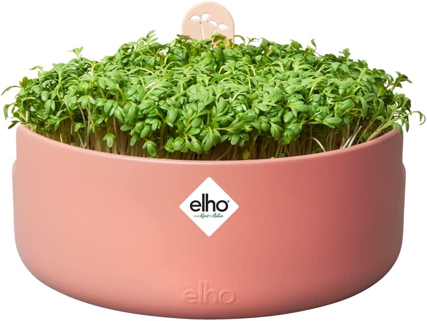 VASO DA COLTURA MAGIC MICROGREENS TERRA