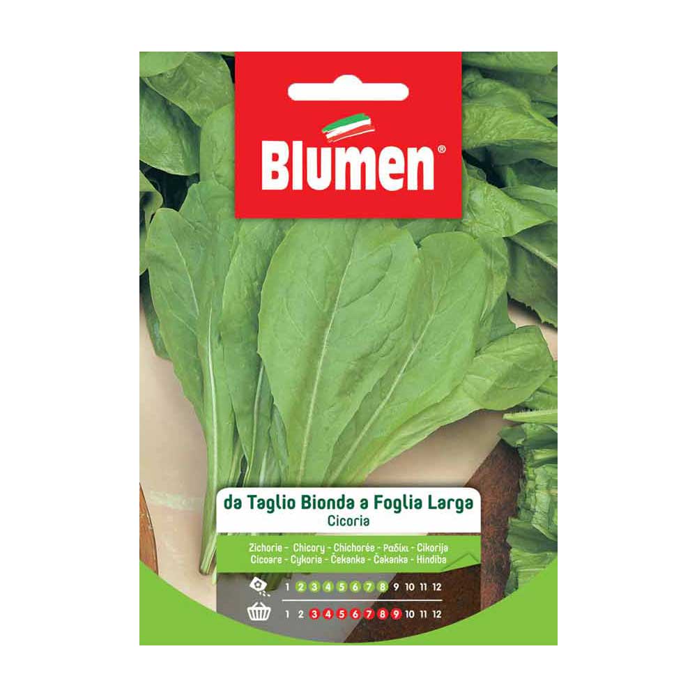 SEMI CICORIA TAGLIO BIONDA FOGLIA LARGA BLUMEN