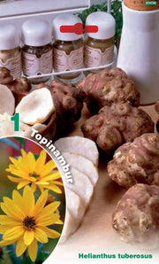 TOPINAMBUR HELIANTHUS TUBEROSUS (1 CONFEZIONE)