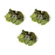 OFFERTA 3 LICHENE VERDE PER PRESEPE 30 GR