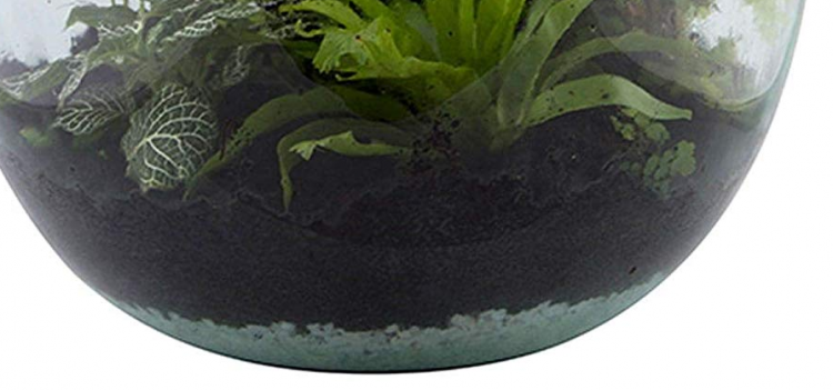 SUBSTRATO 5 LITRI PER ECOSISTEMA TERRARIUM